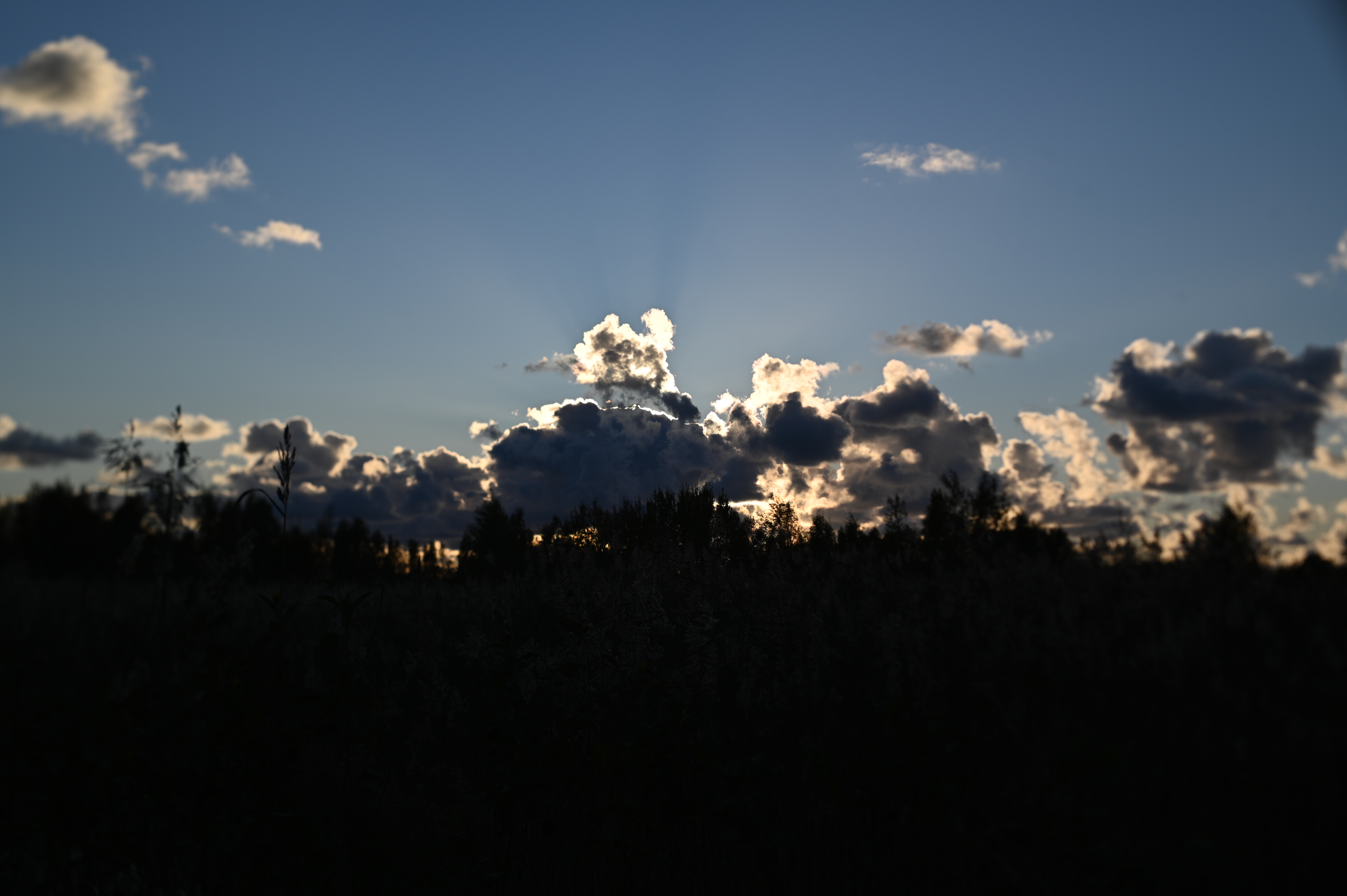 2025/10/18 - walk/DSC_0202.JPG